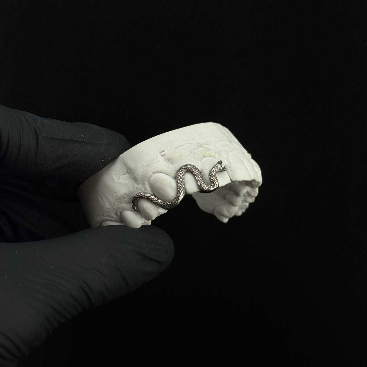 Detailed Snake (singular)