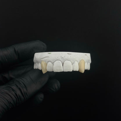 Colour Matched Fangs