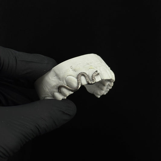 Detailed Snake (singular)